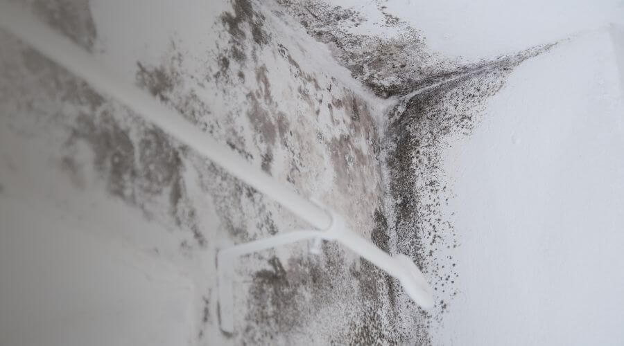 Why choose water damage restoration service for burst pipe water damage in Silver Spring